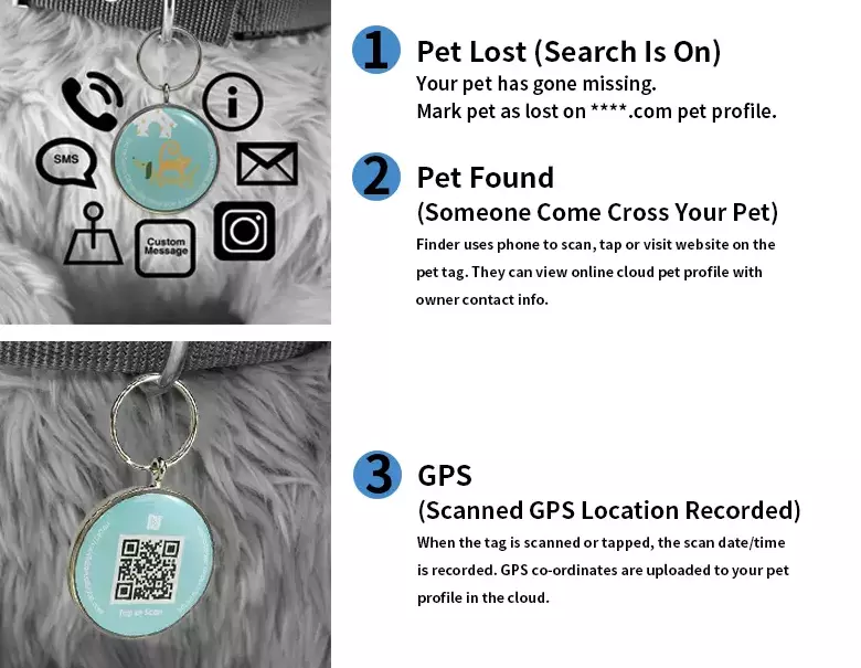 NFC-RFID-Haustiermarke. Wasserdichte NFC-Haustiermarke mit QR-Code-Hundemarke
